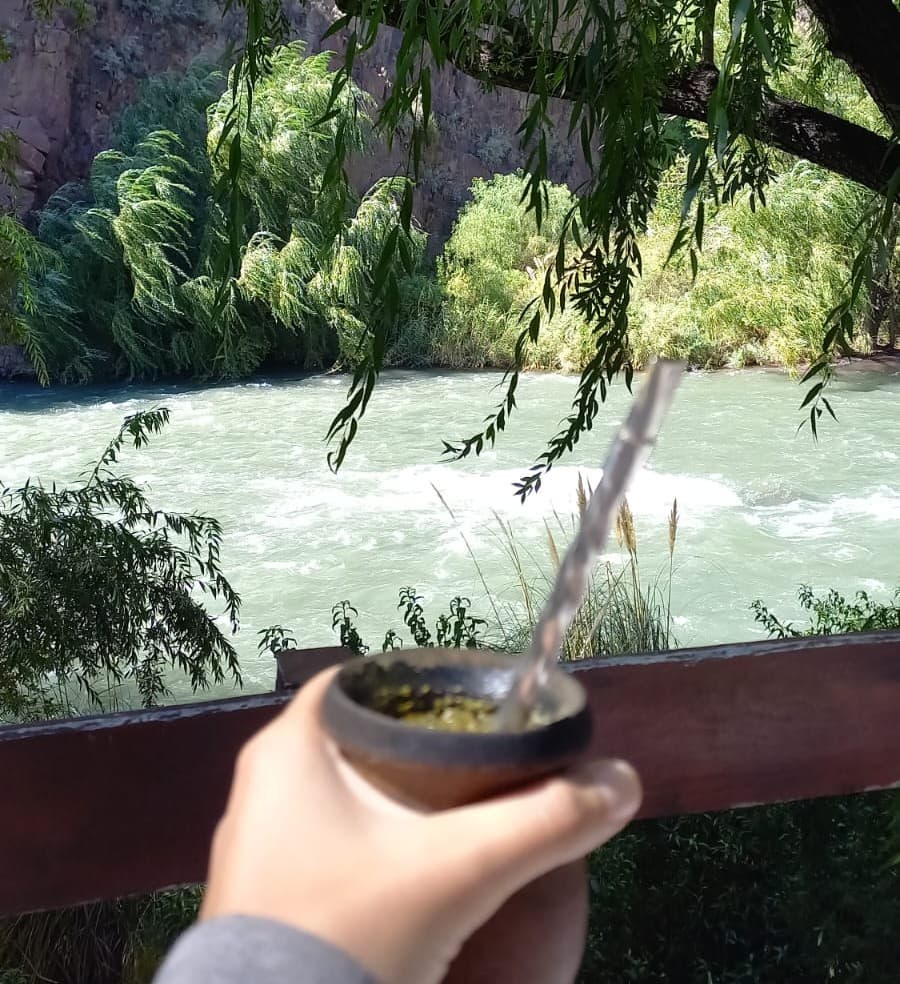 Mate argentino
